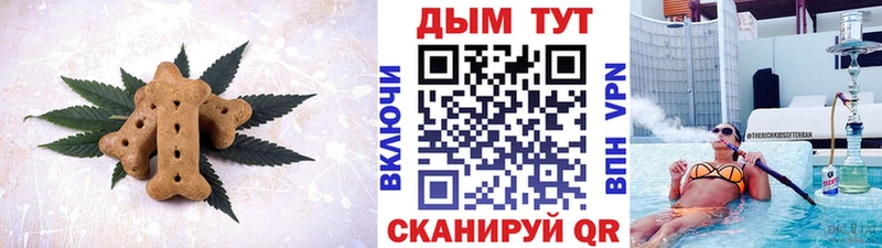 Купить закладки  Пыталово  Cannafood конопля 