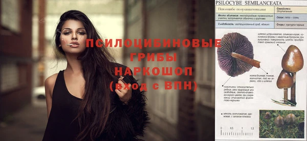 индика Горно-Алтайск