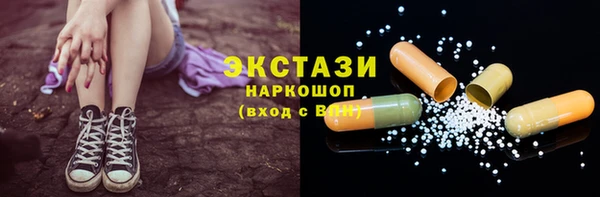 индика Горно-Алтайск