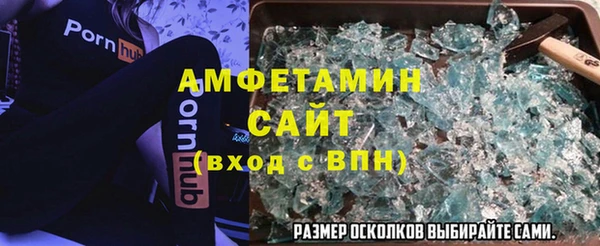 индика Горно-Алтайск