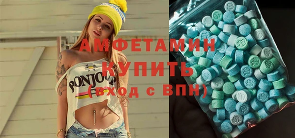 индика Горно-Алтайск