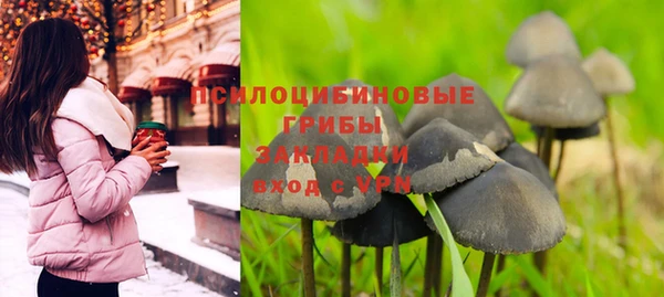 индика Горно-Алтайск