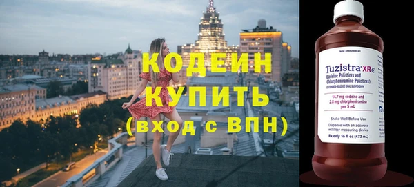 индика Горно-Алтайск