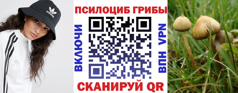Галлюциногенные грибы MAGIC MUSHROOMS  Купить закладки  Пыталово 